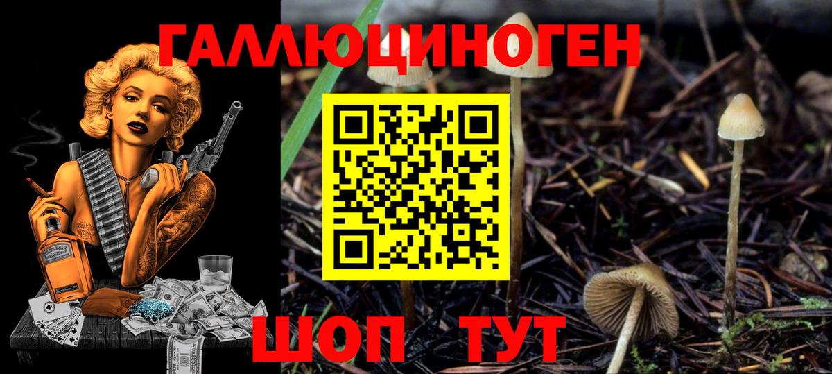 Кудымкар  Галлюциногенные грибы Psilocybe  Вход с VPN 